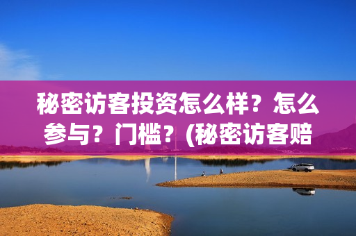 秘密访客投资怎么样？怎么参与？门槛？(秘密访客赔钱了吗)