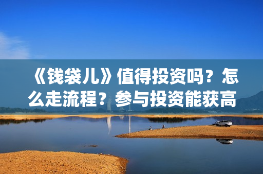 《钱袋儿》值得投资吗？怎么走流程？参与投资能获高收益吗？分红快吗(钱袋子的图片)