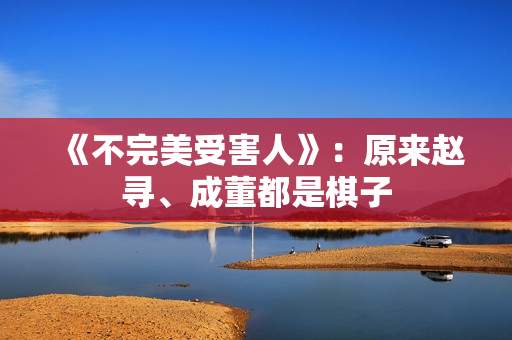 《不完美受害人》：原来赵寻、成董都是棋子