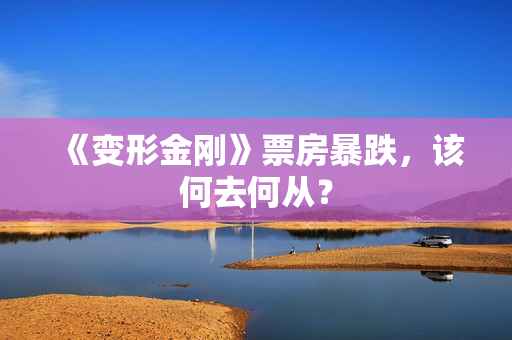 《变形金刚》票房暴跌，该何去何从？