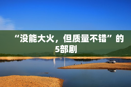 “没能大火，但质量不错”的5部剧