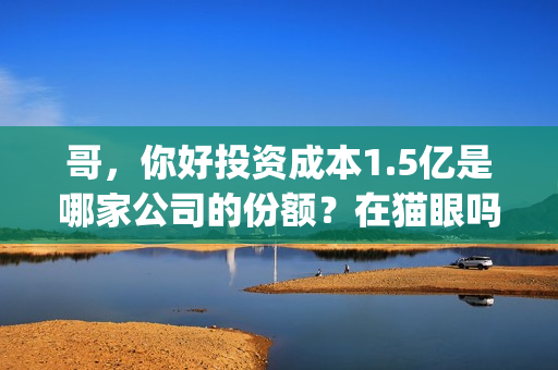 哥,你好投资成本1.5亿是哪家公司的份额?在猫眼吗?预测票房多少?(鹩哥你好mp3) 哥,你好投资成本1.5亿是哪家公司的份额?在猫眼吗?预测票房多少?(鹩哥你好mp3)