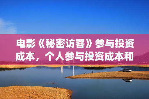 电影《秘密访客》参与投资成本，个人参与投资成本和认购流程？(秘密访客完整剧情)