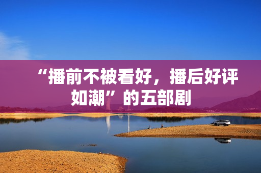 “播前不被看好，播后好评如潮”的五部剧