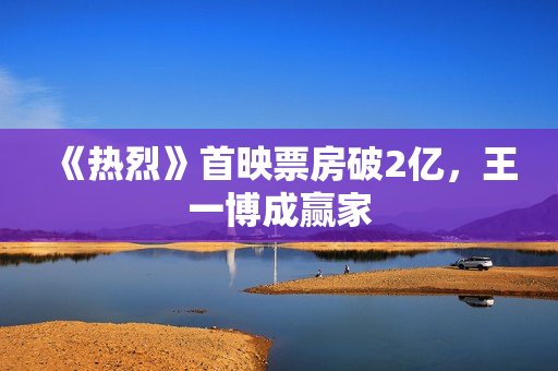 《热烈》首映票房破2亿，王一博成赢家