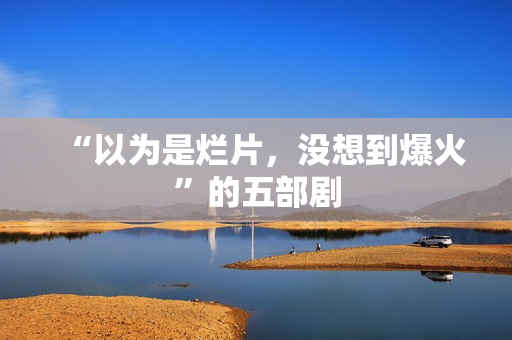 “以为是烂片，没想到爆火”的五部剧