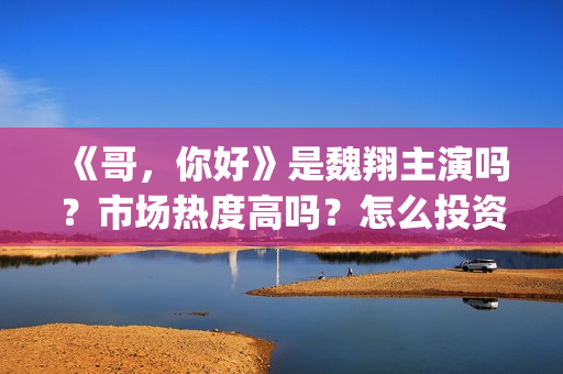 《哥，你好》是魏翔主演吗？市场热度高吗？怎么投资认购？分账快吗？(鹩哥你好mp3)
