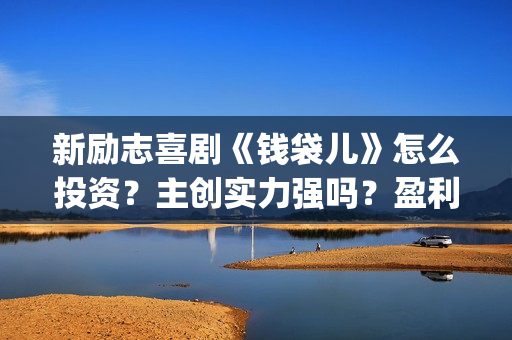 新励志喜剧《钱袋儿》怎么投资？主创实力强吗？盈利高吗？(喜剧励志电影)
