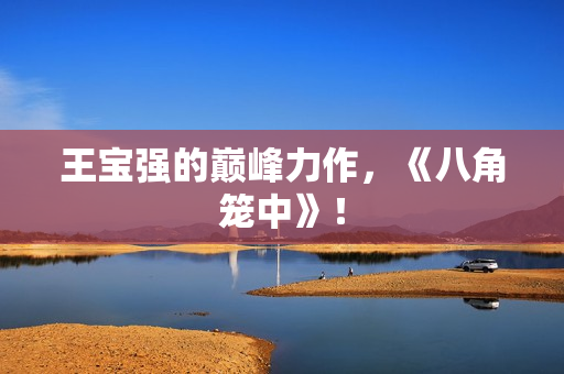 王宝强的巅峰力作,《八角笼中》! 王宝强的巅峰力作,《八角笼中》!