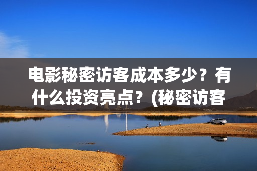 电影秘密访客成本多少？有什么投资亮点？(秘密访客电影啥意思)