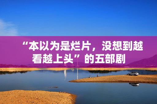 “本以为是烂片,没想到越看越上头”的五部剧 “本以为是烂片,没想到越看越上头”的五部剧
