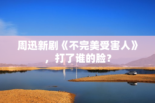 周迅新剧《不完美受害人》,打了谁的脸? 周迅新剧《不完美受害人》,打了谁的脸?