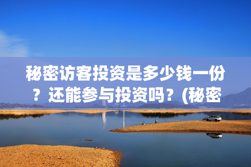 秘密访客投资是多少钱一份?还能参与投资吗?(秘密访客成本) 秘密访客投资是多少钱一份?还能参与投资吗?(秘密访客成本)