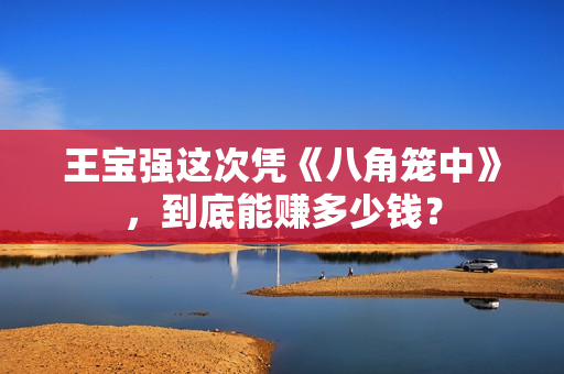 王宝强这次凭《八角笼中》,到底能赚多少钱? 王宝强这次凭《八角笼中》,到底能赚多少钱?