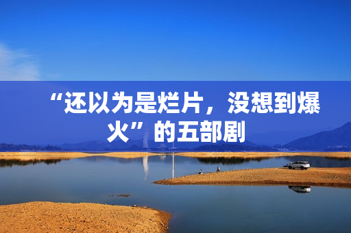 “还以为是烂片，没想到爆火”的五部剧