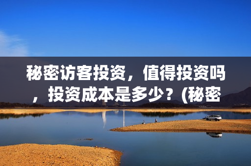 秘密访客投资，值得投资吗，投资成本是多少？(秘密访客赔钱了吗)