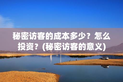 秘密访客的成本多少？怎么投资？(秘密访客的意义)