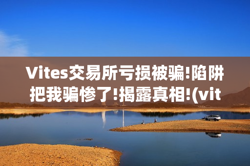 Vites交易所亏损被骗!陷阱把我骗惨了!揭露真相!(vitex交易所)