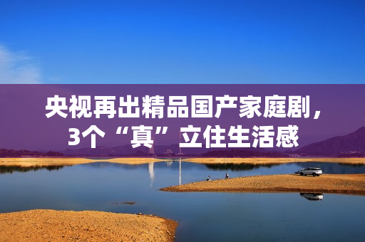 央视再出精品国产家庭剧，3个“真”立住生活感