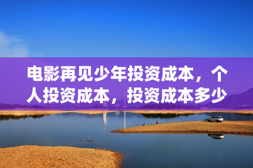 电影再见少年投资成本，个人投资成本，投资成本多少？(再见少年电影预告)