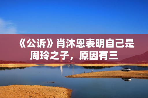 《公诉》肖沐恩表明自己是周玲之子，原因有三