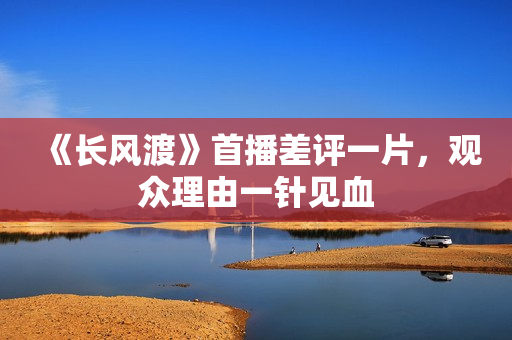 《长风渡》首播差评一片，观众理由一针见血