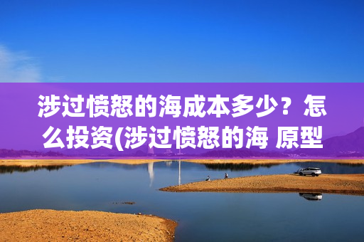 涉过愤怒的海成本多少？怎么投资(涉过愤怒的海 原型)