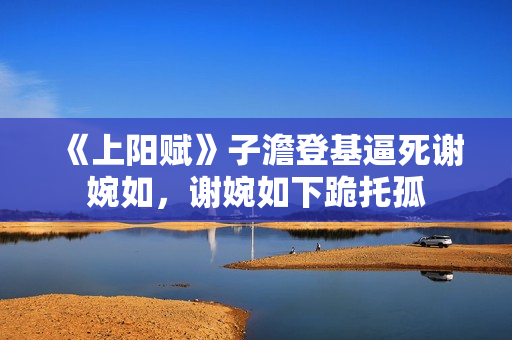 《上阳赋》子澹登基逼死谢婉如，谢婉如下跪托孤