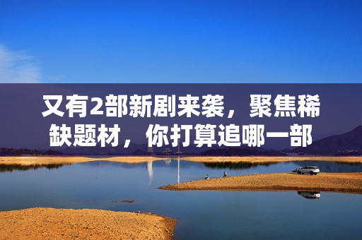 又有2部新剧来袭，聚焦稀缺题材，你打算追哪一部