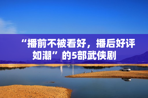 “播前不被看好，播后好评如潮”的5部武侠剧