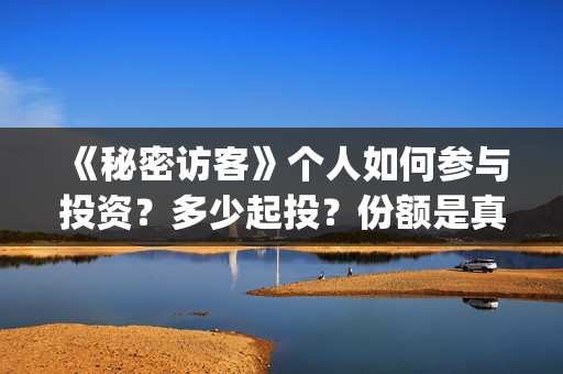 《秘密访客》个人如何参与投资？多少起投？份额是真实的吗？(秘密访客细节解说)
