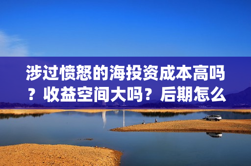涉过愤怒的海投资成本高吗？收益空间大吗？后期怎么分账？(涉过愤怒的海事件原型)