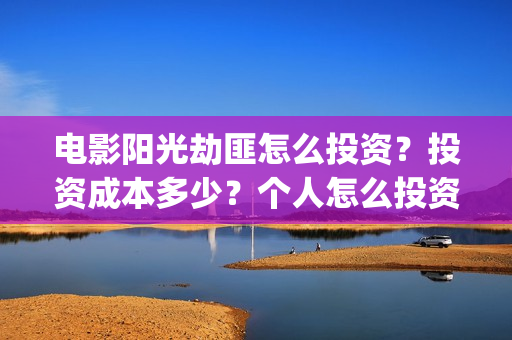 电影阳光劫匪怎么投资？投资成本多少？个人怎么投资最划算？(阳光劫匪hd)