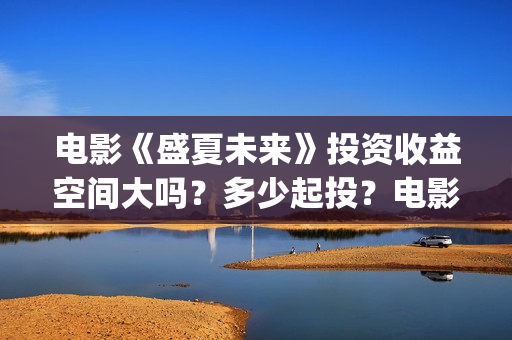 电影《盛夏未来》投资收益空间大吗？多少起投？电影投资的份额真实吗？(电影:盛夏未来)