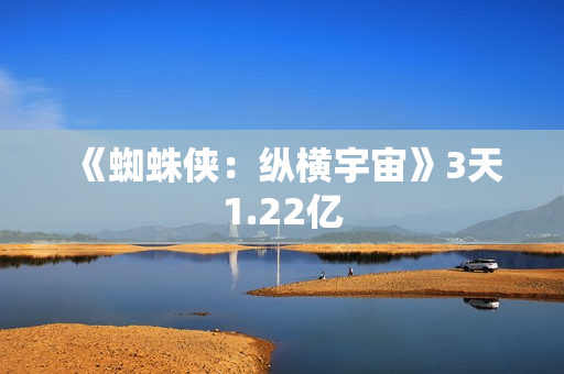 《蜘蛛侠：纵横宇宙》3天1.22亿