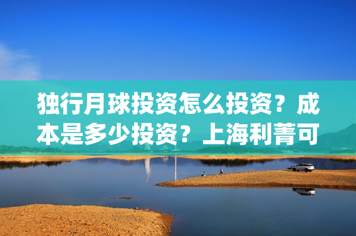 独行月球投资怎么投资？成本是多少投资？上海利菁可以投资吗？(独行月球成本)