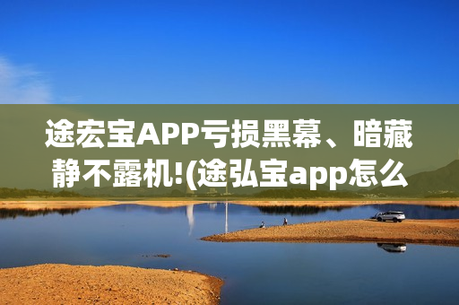 途宏宝APP亏损黑幕、暗藏静不露机!(途弘宝app怎么样) 途宏宝APP亏损黑幕、暗藏静不露机!(途弘宝app怎么样)