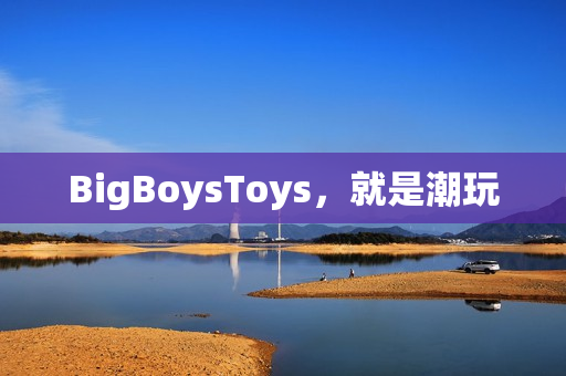 BigBoysToys，就是潮玩