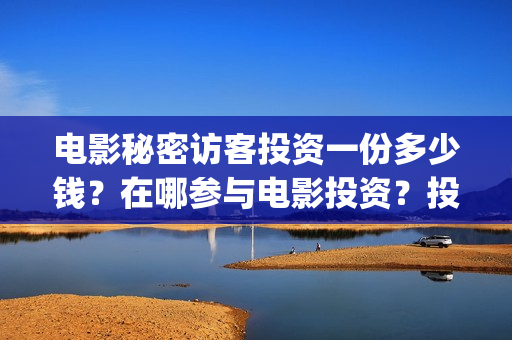 电影秘密访客投资一份多少钱？在哪参与电影投资？投资流程是什么？(秘密访客电影价钱)
