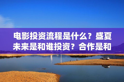 电影投资流程是什么?盛夏未来是和谁投资?合作是和出品方吗?(电影投资是怎么投资的) 电影投资流程是什么?盛夏未来是和谁投资?合作是和出品方吗?(电影投资是怎么投资的)