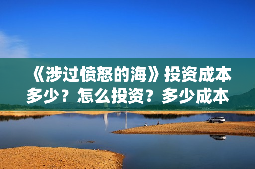 《涉过愤怒的海》投资成本多少？怎么投资？多少成本？(涉过愤怒的海周依然做出的牺牲)