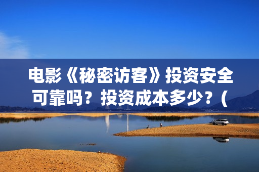 电影《秘密访客》投资安全可靠吗？投资成本多少？(电影《秘密访客》)