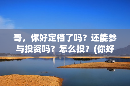 哥，你好定档了吗？还能参与投资吗？怎么投？(你好的哥)