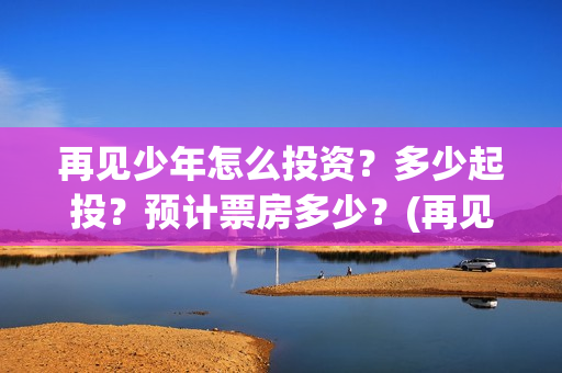 再见少年怎么投资？多少起投？预计票房多少？(再见少年隐藏剧情)