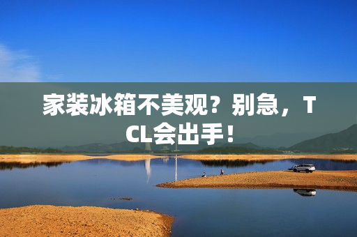 家装冰箱不美观?别急,TCL会出手! 家装冰箱不美观?别急,TCL会出手!