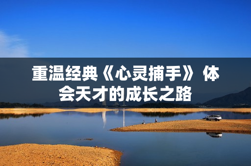 重温经典《心灵捕手》 体会天才的成长之路