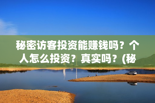 秘密访客投资能赚钱吗？个人怎么投资？真实吗？(秘密访客投资能赚钱吗)