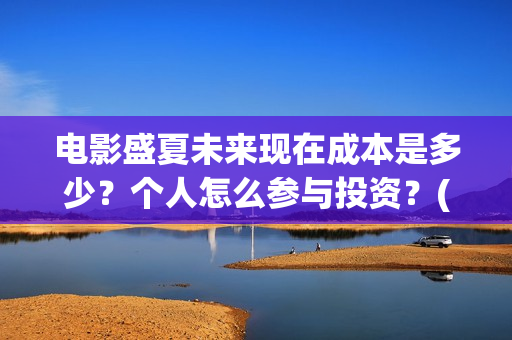 电影盛夏未来现在成本是多少？个人怎么参与投资？(电影 盛夏未来)