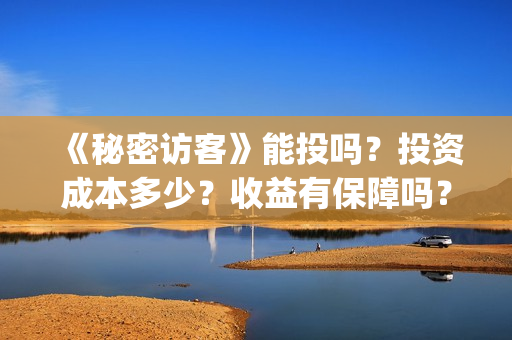 《秘密访客》能投吗？投资成本多少？收益有保障吗？(《秘密访客》看不懂)