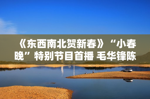 《东西南北贺新春》“小春晚”特别节目首播 毛华锋陈妍希个人表态